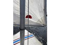 AMF Alcort Sunfish Click to launch Larger Image