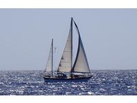 Wauquiez Amphitrite 43 Click to launch Larger Image