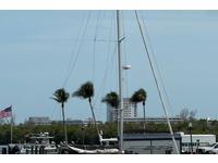 2019 Cape Coral Florida United States Florida 43'10 Jeanneau Sun Odyssey