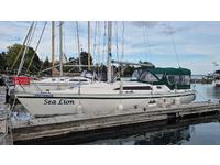 Canadian Sailcraft CS 36 MERLIN Click to launch Larger Image