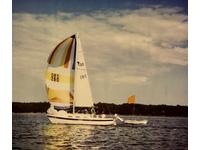 Tanzer Tanzer 22 - Fin Keel Click to launch Larger Image