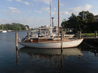 Hallberg Sweden Kings Cruiser Click to launch Larger Image