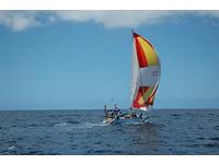 Trade Winds Vigilante T40 Click to launch Larger Image