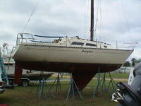 Islander Bahama 28 Click to launch Larger Image