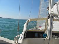 Tremolina Argonauta Click to launch Larger Image