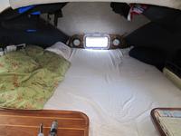 Tremolina Argonauta Click to launch Larger Image