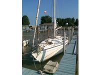 CARTER Carter 36' Click to launch Larger Image