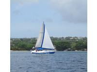 Morgan Out Island Sloop Click to launch Larger Image