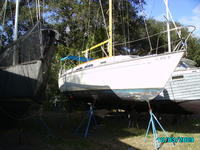 1978 green cove springs Florida 26'4 amf paceship py26'4