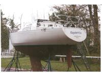 scampi mark IV Click to launch Larger Image