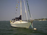 Fort Myers Yacht Brewer 12.8 Click to launch Larger Image