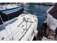Tanzer Yachts Tanzer 22 Click to launch Larger Image