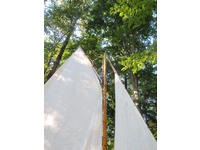 Baybird  Click to launch Larger Image