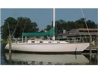 cherbuni raider33 Click to launch Larger Image