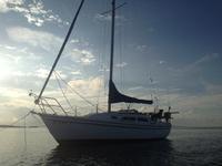 Catalina 1989 tall rig / wing keel / universal diesel Click to launch Larger Image