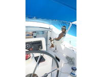 Catana 381 Click to launch Larger Image