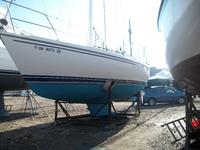 1988 Cleveland Ohio 34 Catalina 34 Cruiser