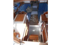 CUSTOM  HEDLEY NICOLE TRIMARAN Click to launch Larger Image