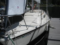 Costal Recreation 26' Balboa Click to launch Larger Image