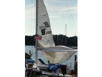 SEIDELMANN 299 Click to launch Larger Image