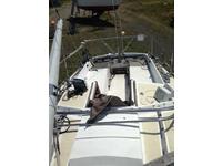 Tartan Yachts Tartan 30 Click to launch Larger Image