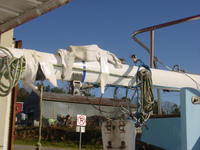 J boats J 24 Racing Sailboat Click to launch Larger Image