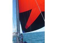 Bruce Askew Steel Pilothouse Expedition world cruiser Click to launch Larger Image