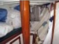 BURGESS SCHOONE ROSE OF SHARON Click to launch Larger Image