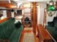 BURGESS SCHOONE ROSE OF SHARON Click to launch Larger Image