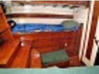 BURGESS SCHOONE ROSE OF SHARON Click to launch Larger Image