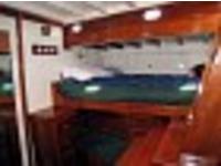 BURGESS SCHOONE ROSE OF SHARON Click to launch Larger Image