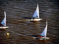 Melges C-Scow Click to launch Larger Image