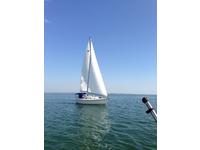 pearson 31.2  wing keel Click to launch Larger Image
