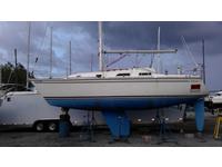 1987 Brooklyn New York 30.67 Pearson Yachts USA PEARSON 31-2