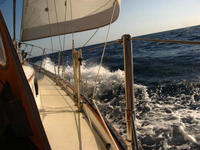 PEARSON Cutter Click to launch Larger Image