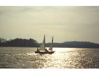 custom Light Schooner Scooner Click to launch Larger Image