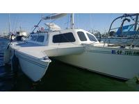 globemaster Wicked Tri 26 Click to launch Larger Image