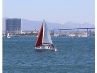 globemaster Wicked Tri 26 Click to launch Larger Image