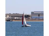 globemaster Wicked Tri 26 Click to launch Larger Image