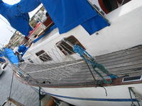 Formosa  Click to launch Larger Image