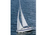 Scanmar 33 Click to launch Larger Image