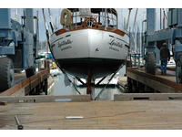 Tayana Tayana 37 Click to launch Larger Image