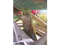 O'Day Olympic Class International Yngling Click to launch Larger Image