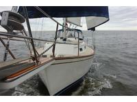 Traditional Watercraft Island Packet Click to launch Larger Image