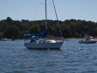 Hunter sloop Click to launch Larger Image