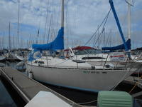 1981 Alameda California 35.7 C&C Sloop