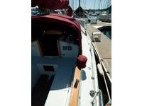 Rustler  Click to launch Larger Image