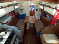 Rustler  Click to launch Larger Image