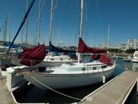 Rustler  Click to launch Larger Image