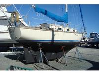 Cape Dory Sloop Click to launch Larger Image